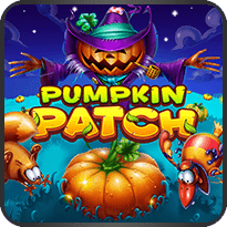 PUMPKIN PATCH