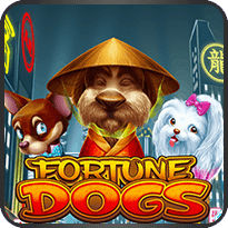 FORTUNE DOGS